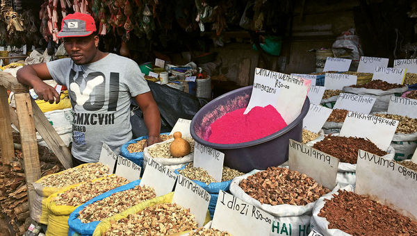 A vendor at Durban’s muti market sells medicinal herbs, barks and powders used by traditional healers, or sangomas. The market is a fascinating place to visit, but one best explored with a guide. A vendor at Durban’s muti market sells medicinal herbs, barks and powders used by traditional healers, or sangomas. The market is a fascinating place to visit, but one best explored with a guide.