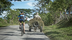 This year adventure travel specialist Backroads launched its Cuba Bike Tour, a people-to-people itinerary that enables guests to experience the country's ''national parks, rum and Latin rhythms.'' Pictured, a rider on the 26-mile Backroads Caimito Route in western Cuba.