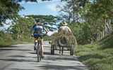 This year adventure travel specialist Backroads launched its Cuba Bike Tour, a people-to-people itinerary that enables guests to experience the country's ''national parks, rum and Latin rhythms.'' Pictured, a rider on the 26-mile Backroads Caimito Route in western Cuba.