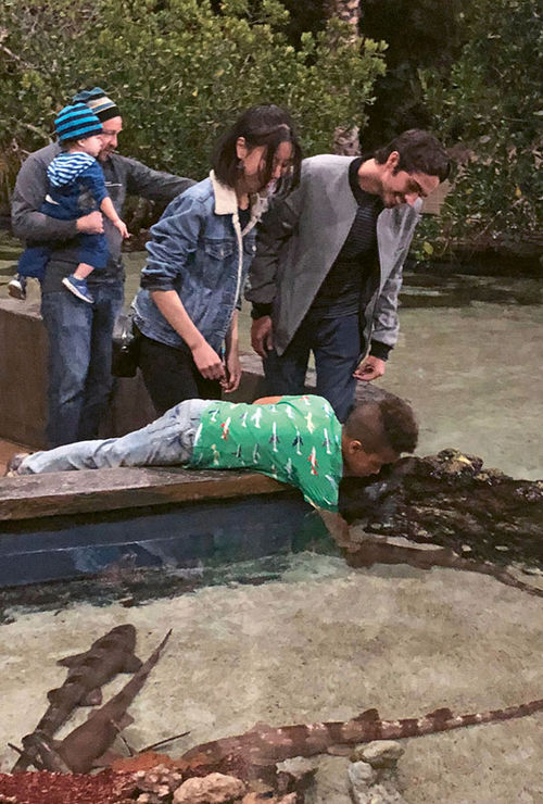 A child touches a shark in the Shark Lagoon at the Aquarium of the Pacific. A child touches a shark in the Shark Lagoon at the Aquarium of the Pacific.