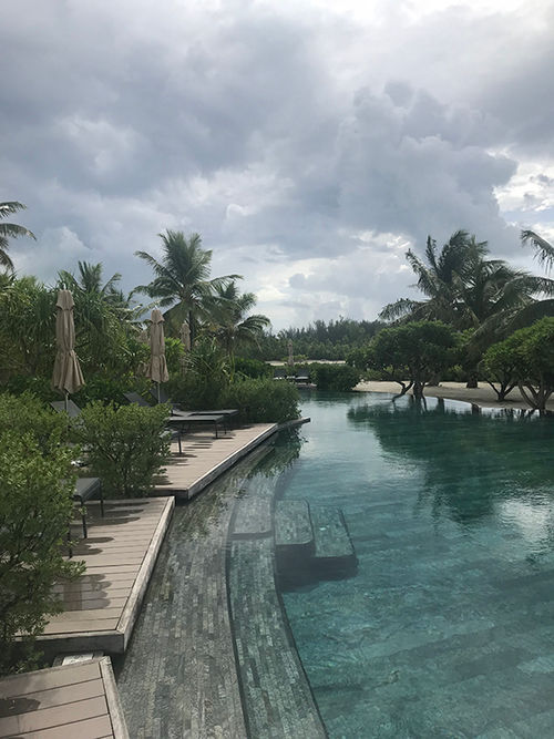The pool at the Brando. The pool at the Brando.