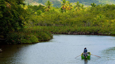 Dominica’s Indian River. American Airlines plans to begin daily, nonstop service from Miami to the island in April.