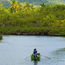 American Airlines launching daily flights to Dominica