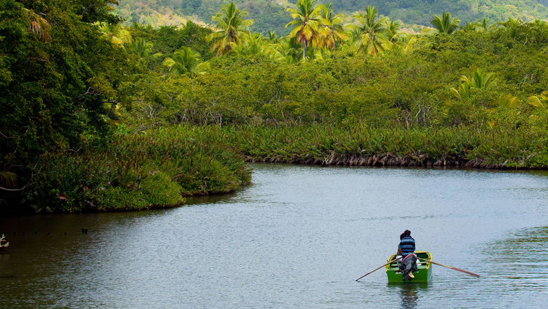 Dominica's Indian River. The island welcomed over 60,000 visitors in 2022