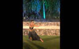 A dancer performs at a dinner hosted by the InterContinental Resort Tahiti in Papeete for the inaugural Parau Parau Tahiti travel mart connecting tour operators and Tahitian travel suppliers.