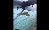 Approaching the Tetiaroa atolls and the Brando, an exclusive resort developed on the islands purchased by Marlon Brando after he filmed ''Mutiny on the Bounty'' there.