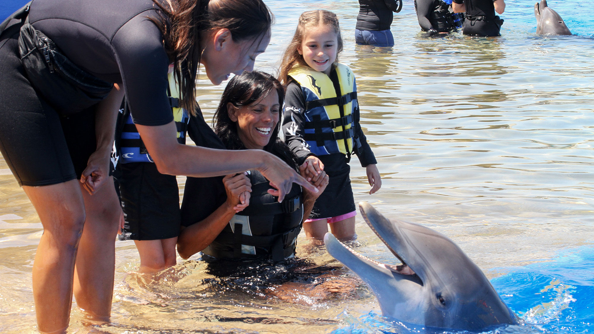 Guests of all ages can participate in Marineland's dolphin immersion programs.