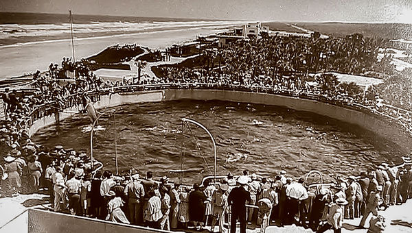 Marineland opened its doors on Florida's Atlantic coast in 1938.