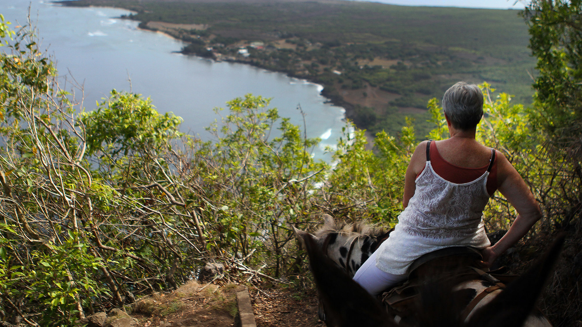 The mule ride to Kalaupapa National Historical Park on Molokai offered by Kalaupapa Rare Adventures is indefinitely closed.