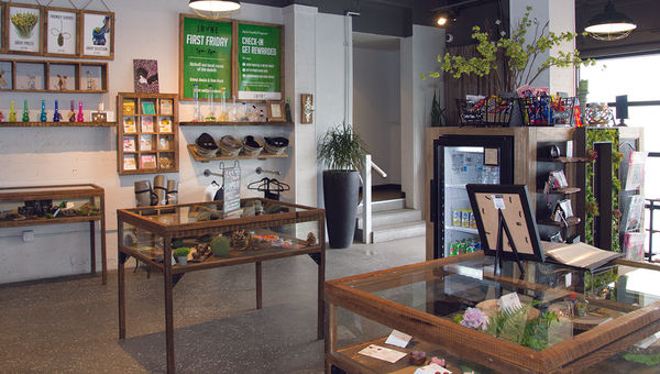 Jayne dispensary in Portland, which partners with the Jupiter Hotel, a midcentury motel given a funky makeover in 2004, to offer discounts to guests. Jayne dispensary in Portland, which partners with the Jupiter Hotel, a midcentury motel given a funky makeover in 2004, to offer discounts to guests.