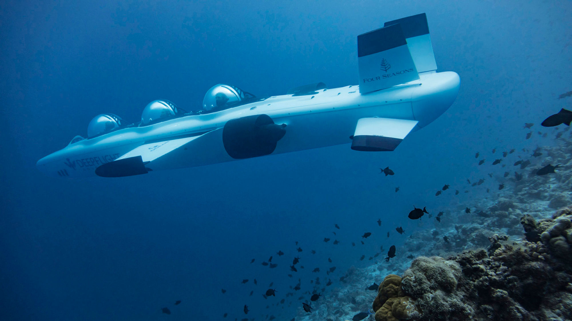 Taking a deep dive on travel options in the Maldives