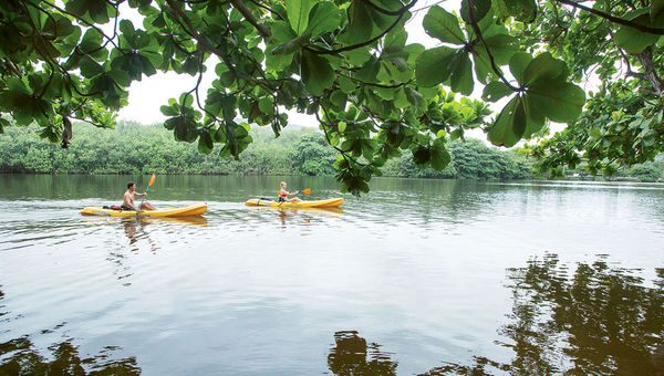 Kauai is the only Hawaiian island with navigable rivers, and the Wailua River is one of the most popular to explore. Kauai is the only Hawaiian island with navigable rivers, and the Wailua River is one of the most popular to explore.