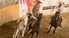 Destinations editor Eric Moya visited Guadalajara, Mexico, this month on a media trip that showcased the region's attractions. Pictured, a charro performs the paso de la muerte, or ''pass of death,'' at the Lienzo Charro Jalisco, the oldest charro arena in Mexico.