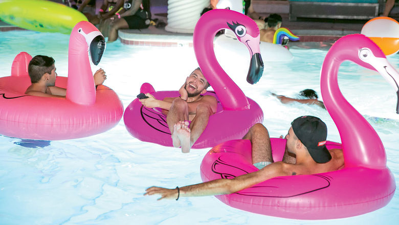 flamingo pool las vegas