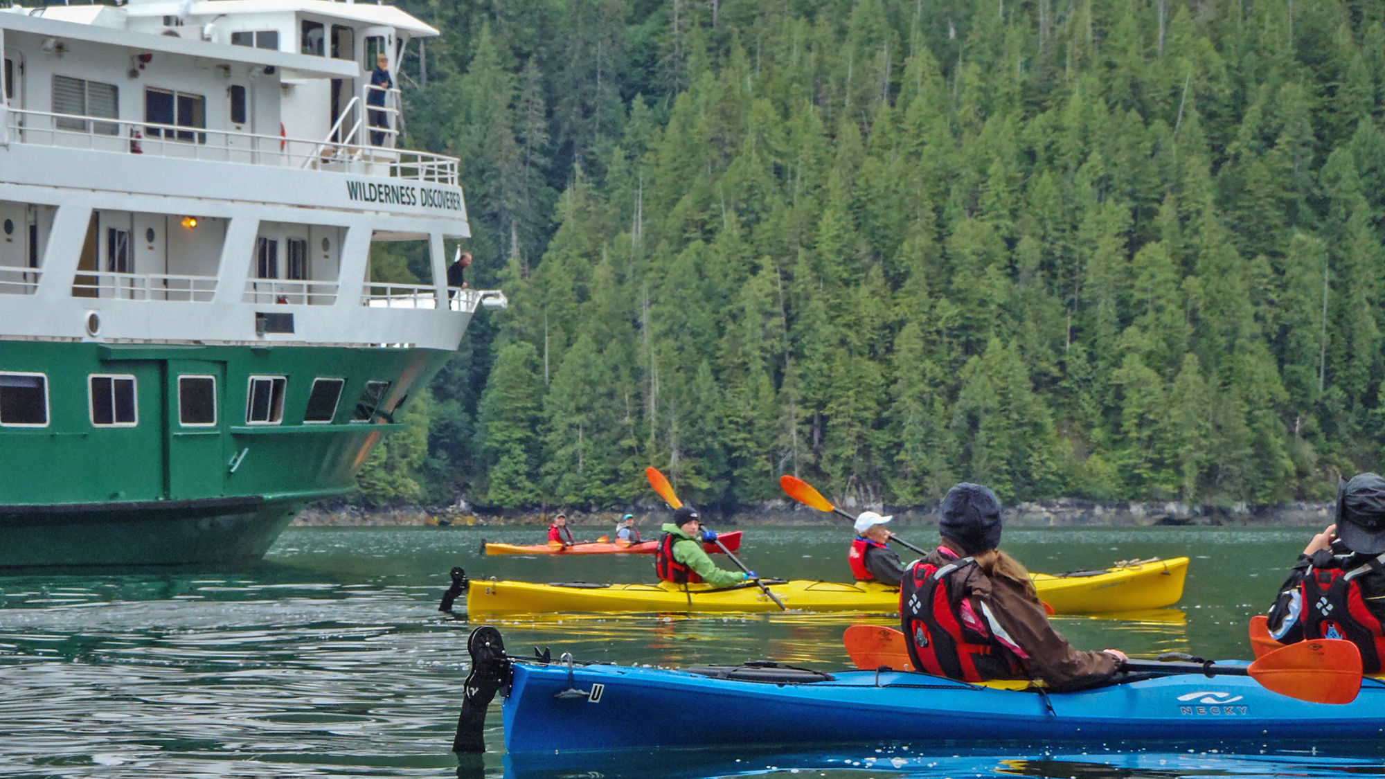 Kayakers on a Wilderness Discoverer outing.
