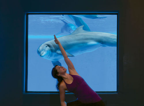 A dolphin checks out the yoga session outside its enclosure at the Secret Garden and Dolphin Habitat at the Mirage Hotel & Casino. A dolphin checks out the yoga session outside its enclosure at the Secret Garden and Dolphin Habitat at the Mirage Hotel & Casino.