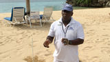Staff passionate about protecting sea turtles
