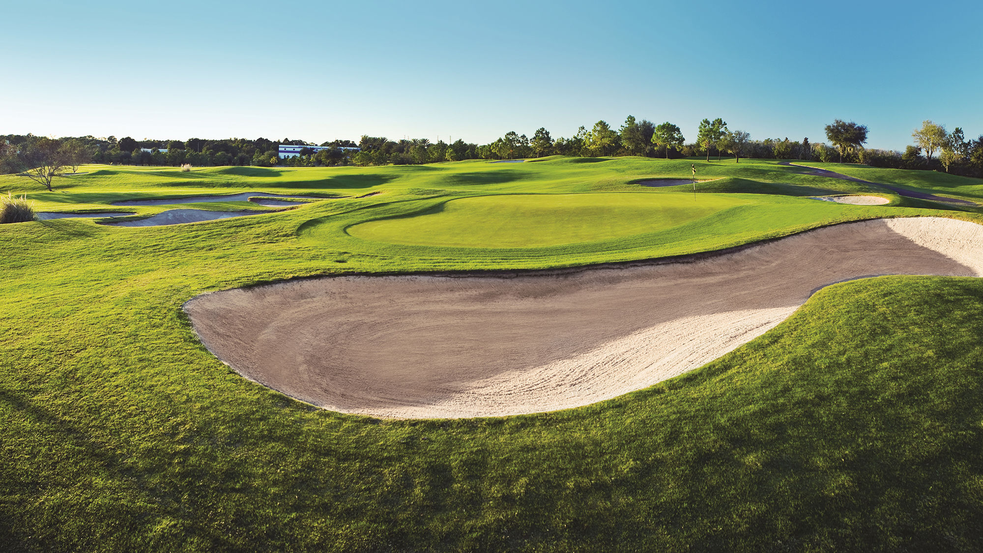 The South Course at Innisbrook is getting a face-lift and will reopen this fall.