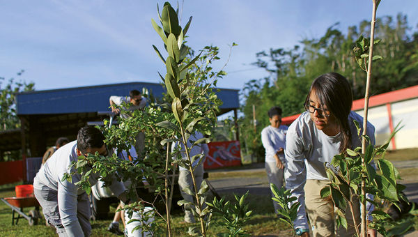 Guests at several Puerto Rico resorts can volunteer with Para La Naturaleza to plant native trees that are resistant to hurricanes and drought.
