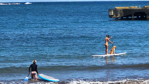 Paddle boarders in Hana Harbor on the island of Maui, Hawaii. Paddle boarders in Hana Harbor on the island of Maui, Hawaii.