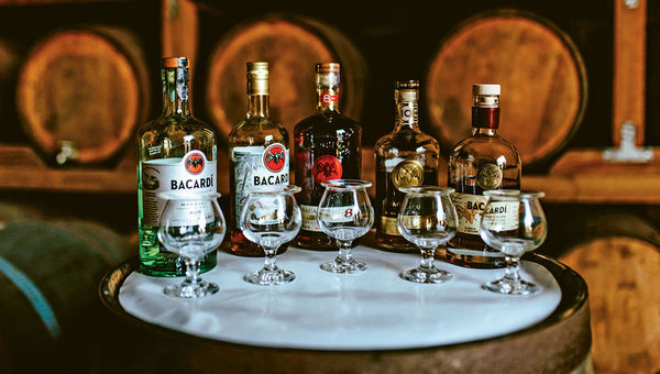Rums at the ready at the Bacardi distillery, a popular destination for tours near San Juan.