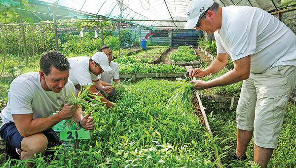 A Hilton team works with the Ground Up Initiative to plant and harvest produce that will be donated to Singapore’s largest soup kitchen. A Hilton team works with the Ground Up Initiative to plant and harvest produce that will be donated to Singapore’s largest soup kitchen.
