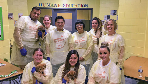 A team from the InterContinental Toronto Centre volunteered with the Toronto Humane Society. A team from the InterContinental Toronto Centre volunteered with the Toronto Humane Society.