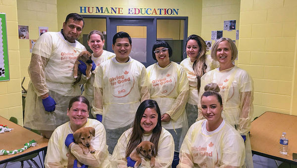 A team from the InterContinental Toronto Centre volunteered with the Toronto Humane Society. A team from the InterContinental Toronto Centre volunteered with the Toronto Humane Society.