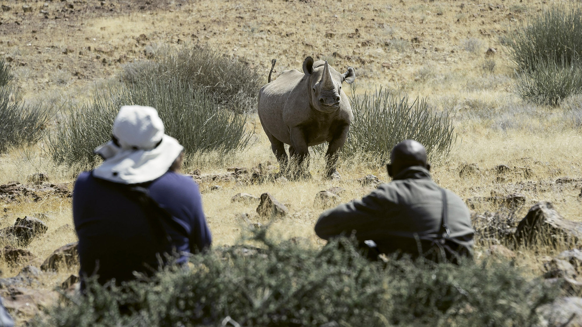 Wilderness Safaris offers rhino tracking in Namibia as one of it's Travel With Purpose itineraries.