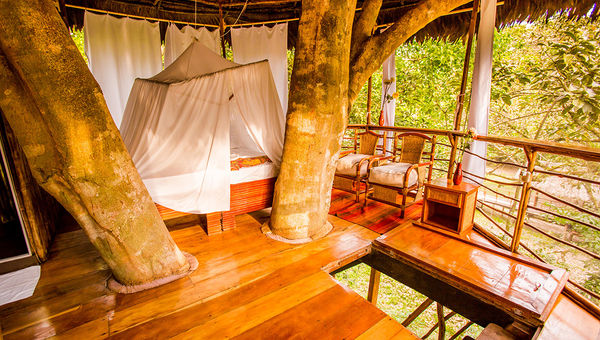 Interior of one of the bungalows at the Treehouse Lodge in Peru. Interior of one of the bungalows at the Treehouse Lodge in Peru.