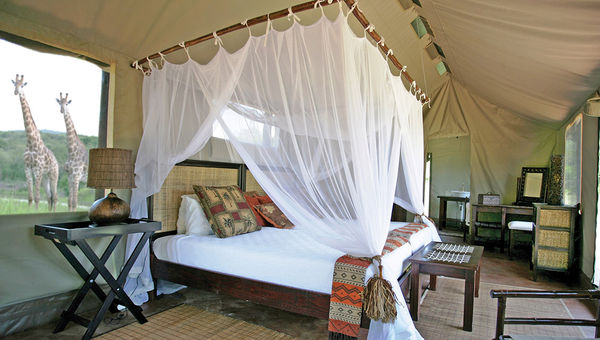 A double tent at Thula Thula’s tented camp. A double tent at Thula Thula’s tented camp.