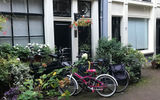 In the Netherlands, there seems to be more bikes than people.