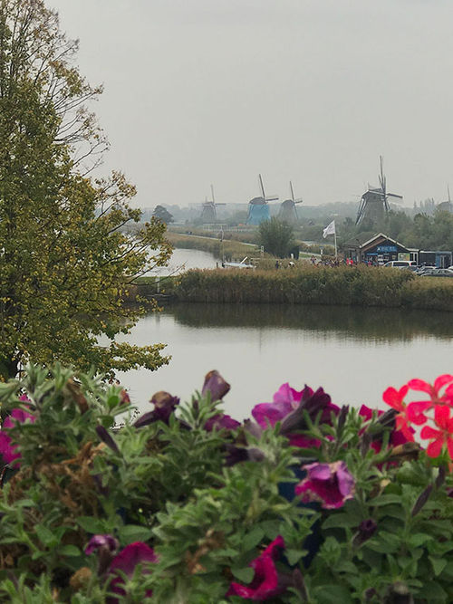 The town Kinderdijk, which has the greatest concentration of windmills from the 1500s in all of Holland. The town Kinderdijk, which has the greatest concentration of windmills from the 1500s in all of Holland.