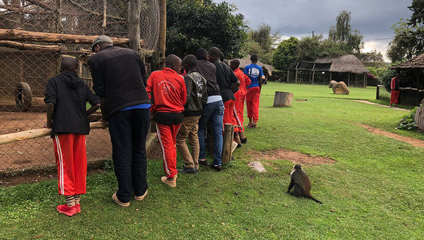 A monkey looks on as local schoolchildren learn about conservation at the Mount Kenya Wildlife Conservancy. A monkey looks on as local schoolchildren learn about conservation at the Mount Kenya Wildlife Conservancy.