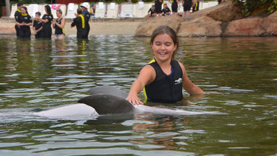 The author's daughter, Ailigh, encounters a dolphin at Discovery Cove.