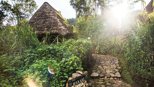 A cottage at the Bwindi Lodge in Uganda, which sits on the edge of Bwindi Impenetrable National Park. A cottage at the Bwindi Lodge in Uganda, which sits on the edge of Bwindi Impenetrable National Park.
