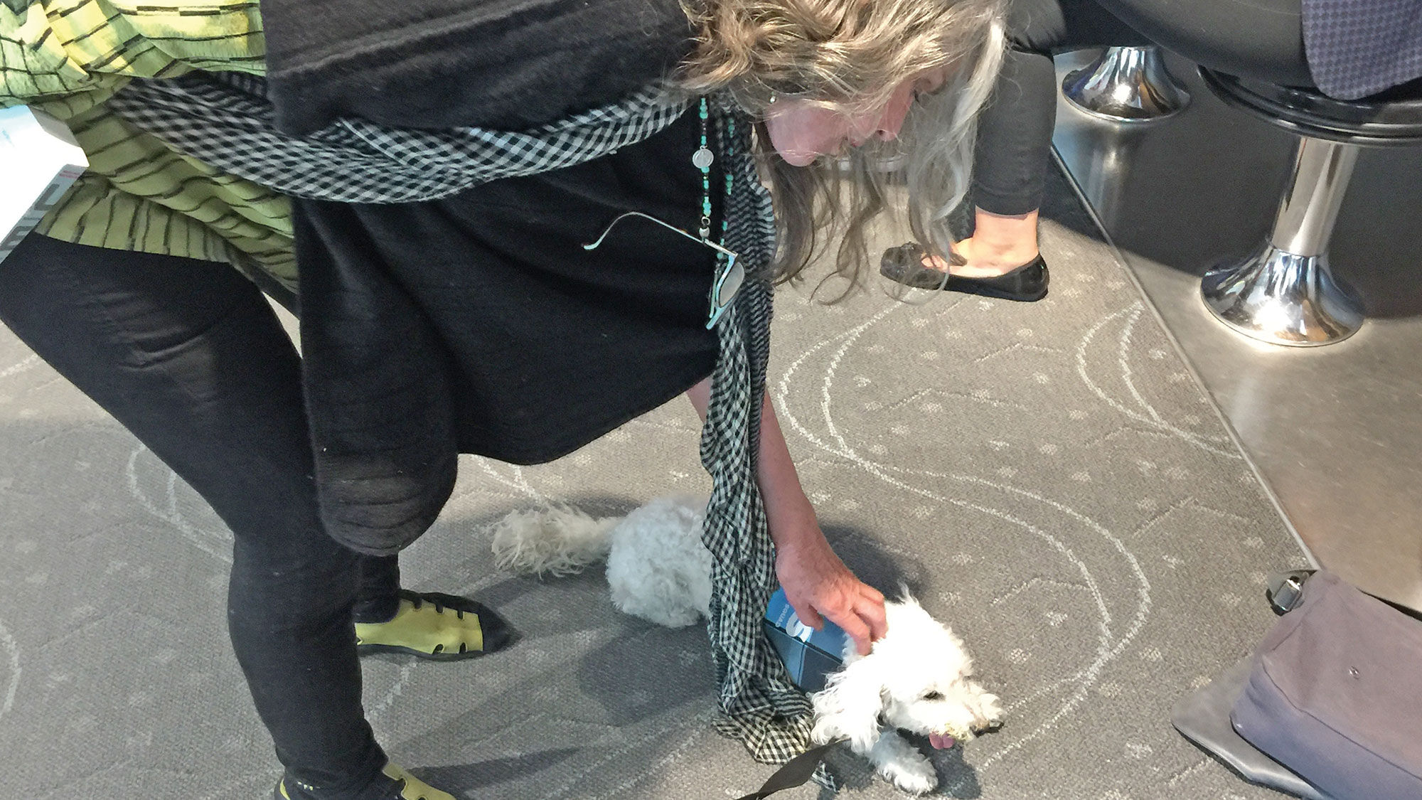 Denver Airport passenger Kay Lee stops to pet Biju, a bichon-poodle mix.