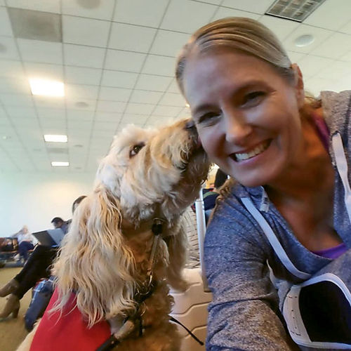 Desta, a 9-year-old goldendoodle, is one of the stars of the SJC K9 Crew at San Jose's Norman Mineta Airport.