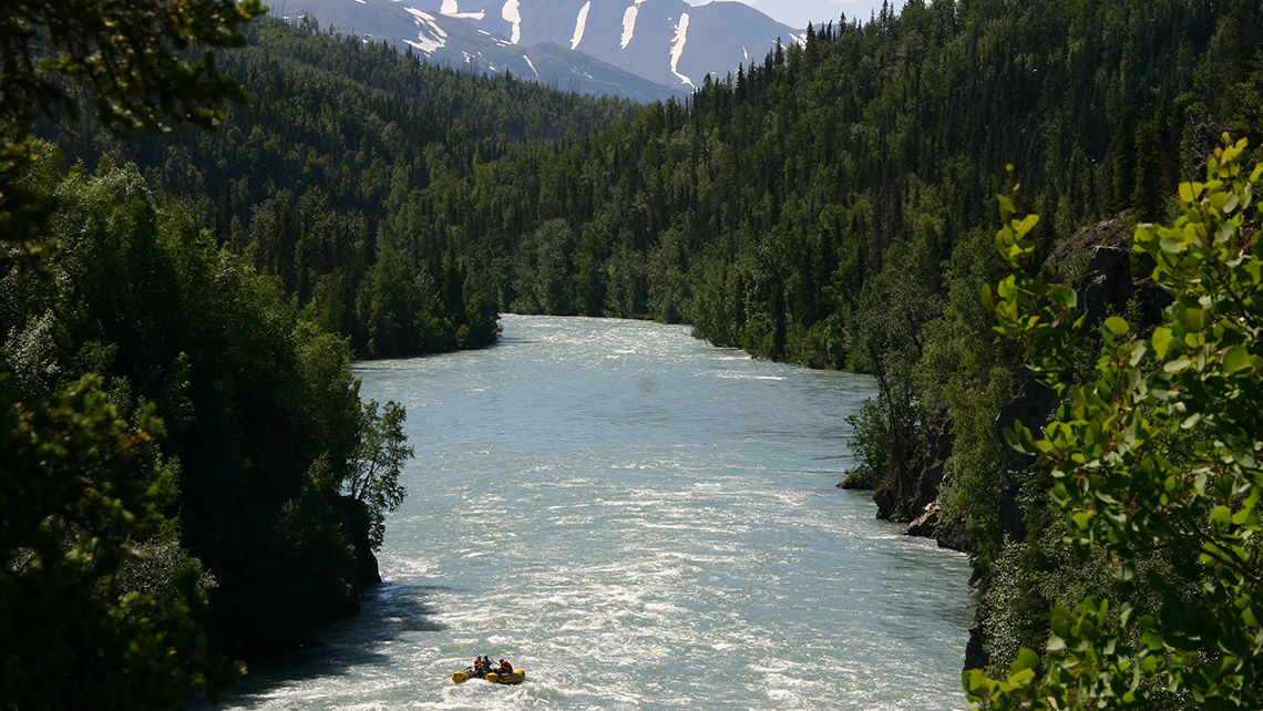 Alaska's Kenai River, where Alaska Wildland Adventures offers kayaking and rafting trips. The operator said it welcomed more young families than usual this summer.