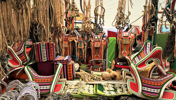 A tack shop in the capital city's "black market."