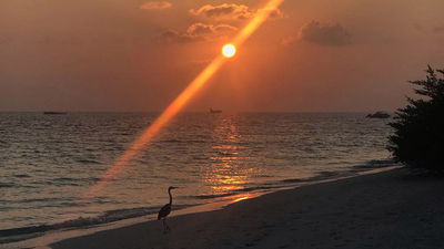 Maldives expected to announce tourism reopening