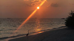 Sunset at Four Seasons Resort Maldives Landaa Giraavaru.