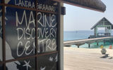 The Marine Discovery Centre at Four Seasons Resort Maldives Landaa Giraavaru, which house the Manta Trust, turtle rescue and rehab facility and reef restoration projects. The projects, facilities and staff are all funded by Four Seasons.