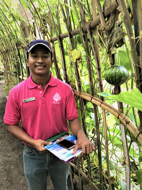 An arching trellis of pumpkin and squash vines epitomizes Teguh Wahyu Pramana’s vision of beauty, efficiency and productivity. An arching trellis of pumpkin and squash vines epitomizes Teguh Wahyu Pramana’s vision of beauty, efficiency and productivity.