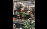 Amanda Brame, head of horticulture for Petersham Nurseries, gives a wreath making demonstration at her shop in Covent Garden.