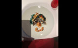 Whimsical ''Food Face'' plates based on designs by chef Rudi Sodamin appear in Rudi's Sel de Mer bistro onboard the Nieuw Statendam, the first ship to have a Sel de Mer restaurant. Sodamin published a book of the faces earlier in the year.
