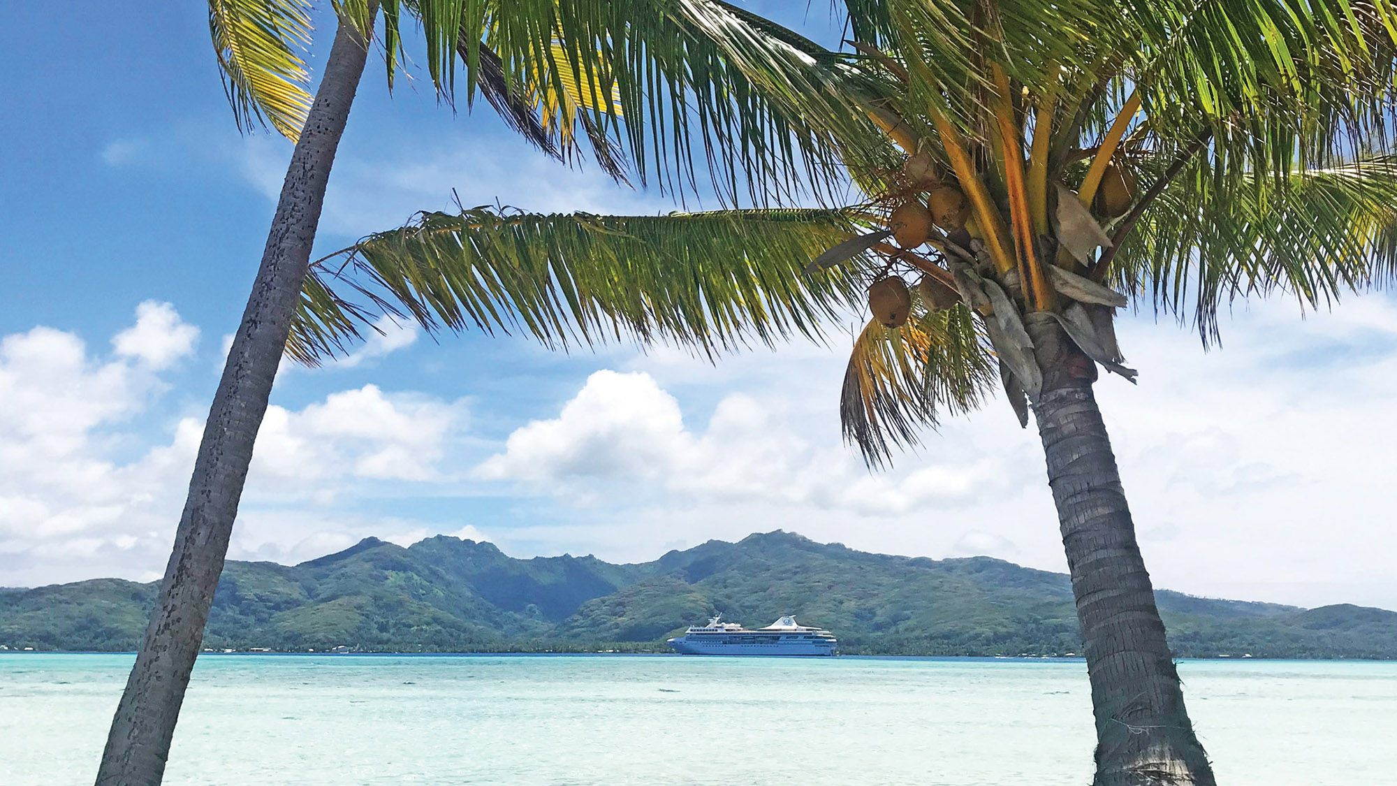 The ship, anchored off the island of Tahaa, is framed by palms growing on Paul Gauguin Cruises’ private island, Motu Mahana.