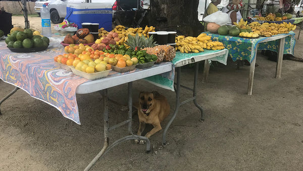Fruit for sale at a market on Bora Bora. Fruit for sale at a market on Bora Bora.
