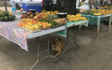 The local market on the island of Bora Bora.