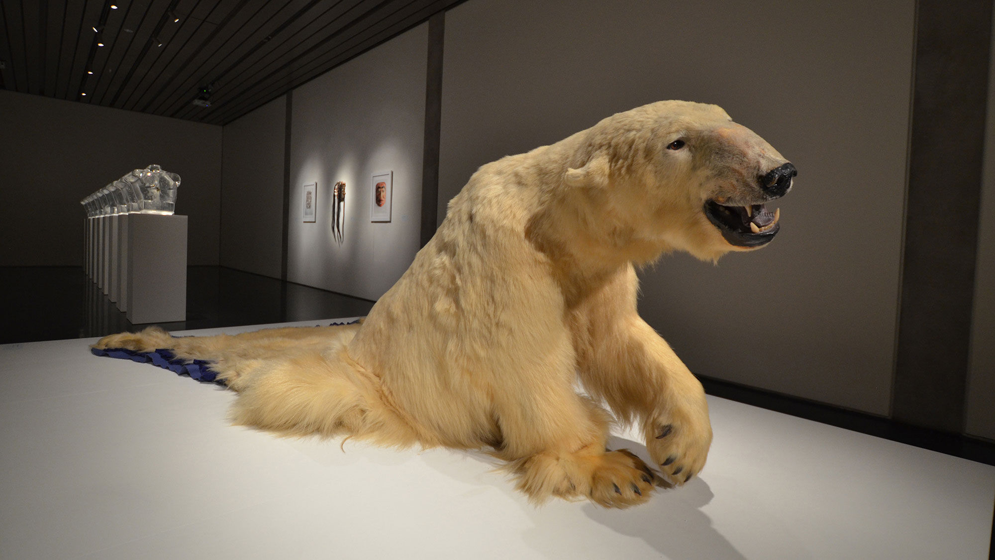 The work "We Dreamt Deaf" by Nicholas Galanin, which uses a taxidermy polar bear for a commentary on climate change and human impact, will be exhibited at the 2019 Honolulu Biennial.
